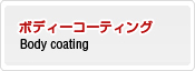 ボディーコーティング